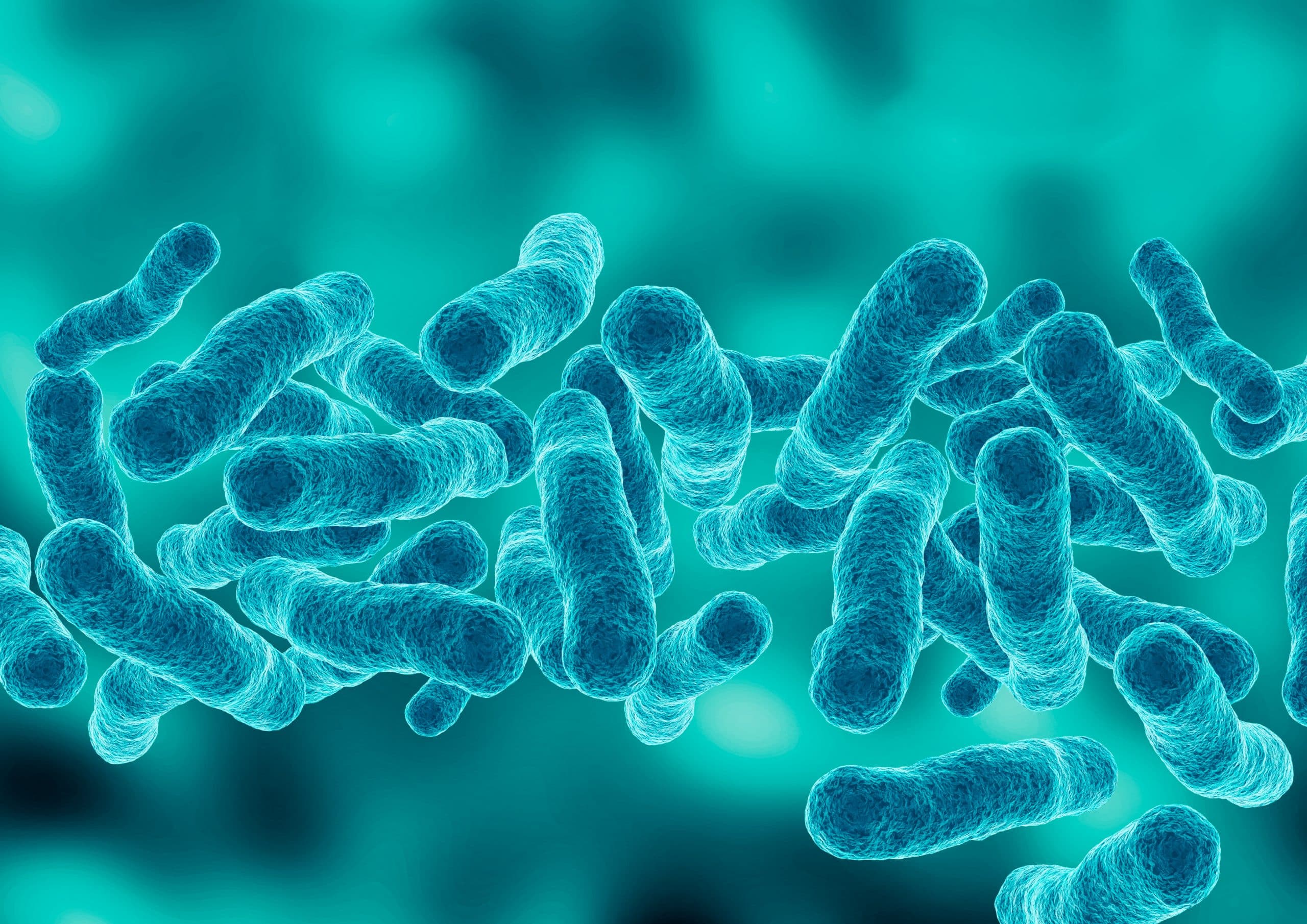 Legionella Training Courses