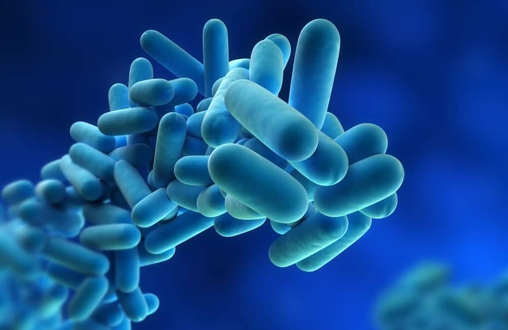 legionella training course
