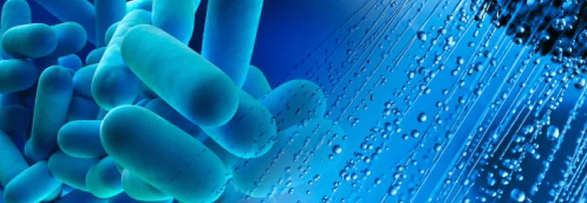 legionella risk assessment