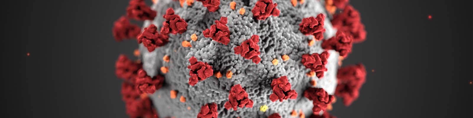 Coronavirus - Delegate Updates