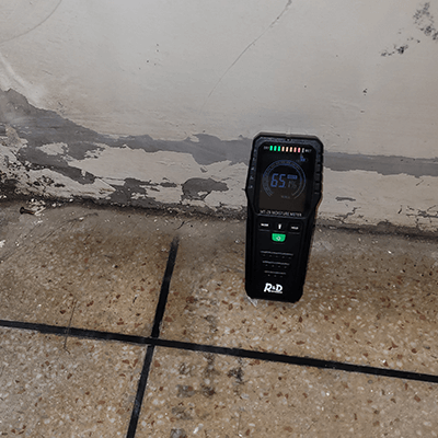 indoor air quality inspection for mould and damp